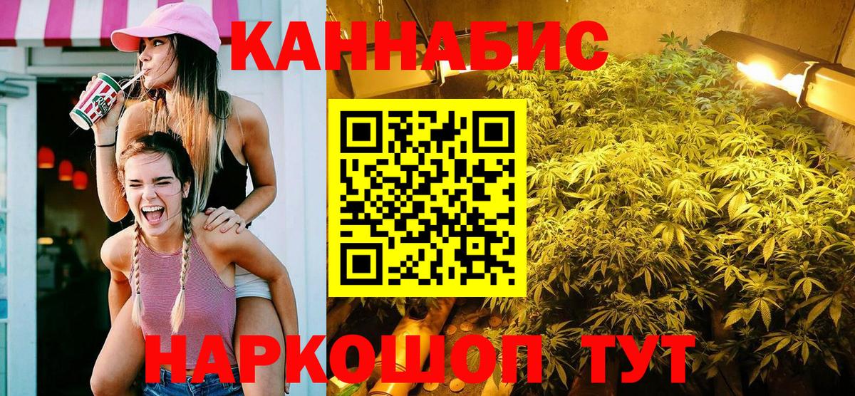 Шишки марихуана планчик  Конопля White Widow  Кудымкар  Вход с VPN  Конопля конопля  Конопля White Widow 